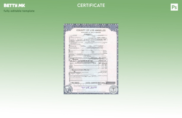 Модерен стил, шаблон за уверение за смрт од округот Лос Анџелес во САД во шаблон